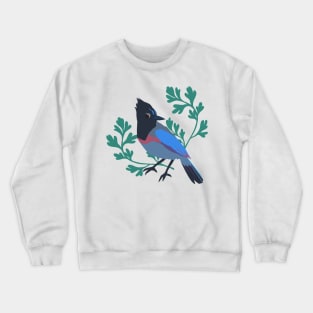 Spring Stellar’s Jay Crewneck Sweatshirt